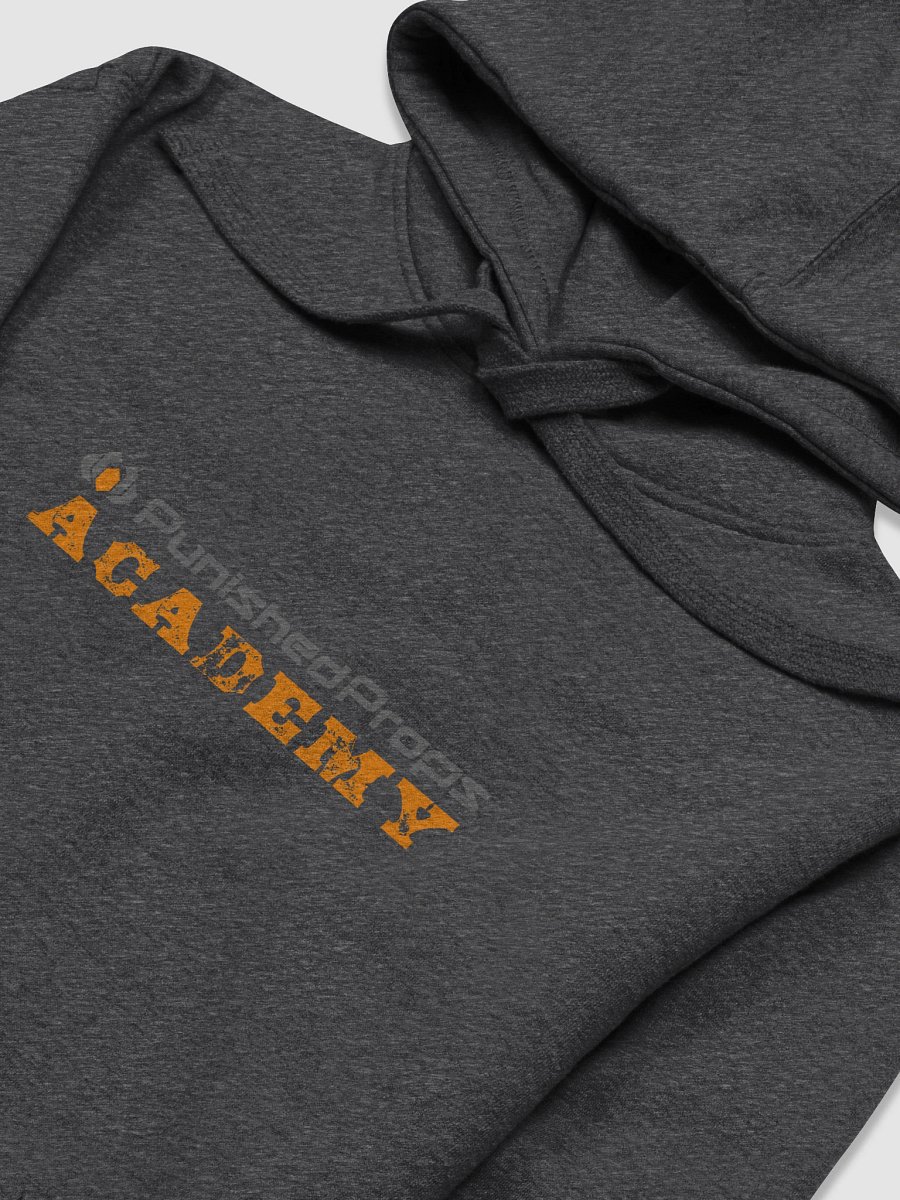 Punished Props Academy Hoodie product image (3)