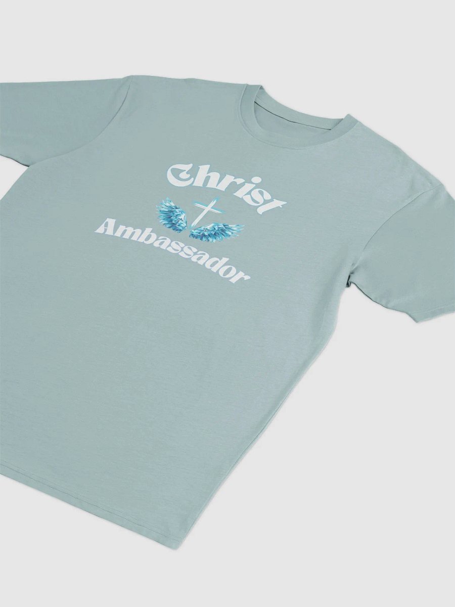 Christ Ambassador Men's Premium Tee product image (15)