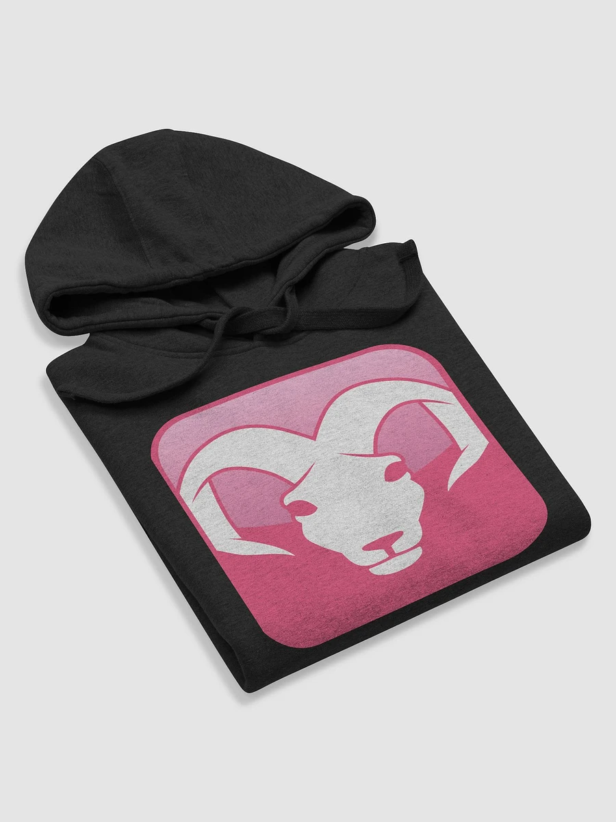 ARIES Hoodie product image (5)