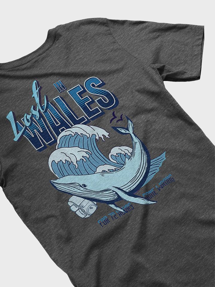 Lost in Wales product image (1)