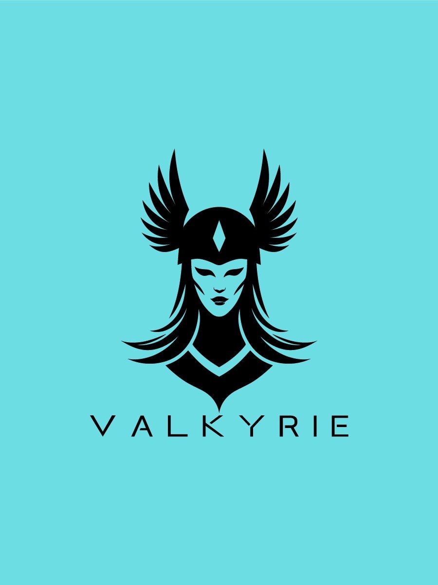 Valkyrie Logo product image (1)