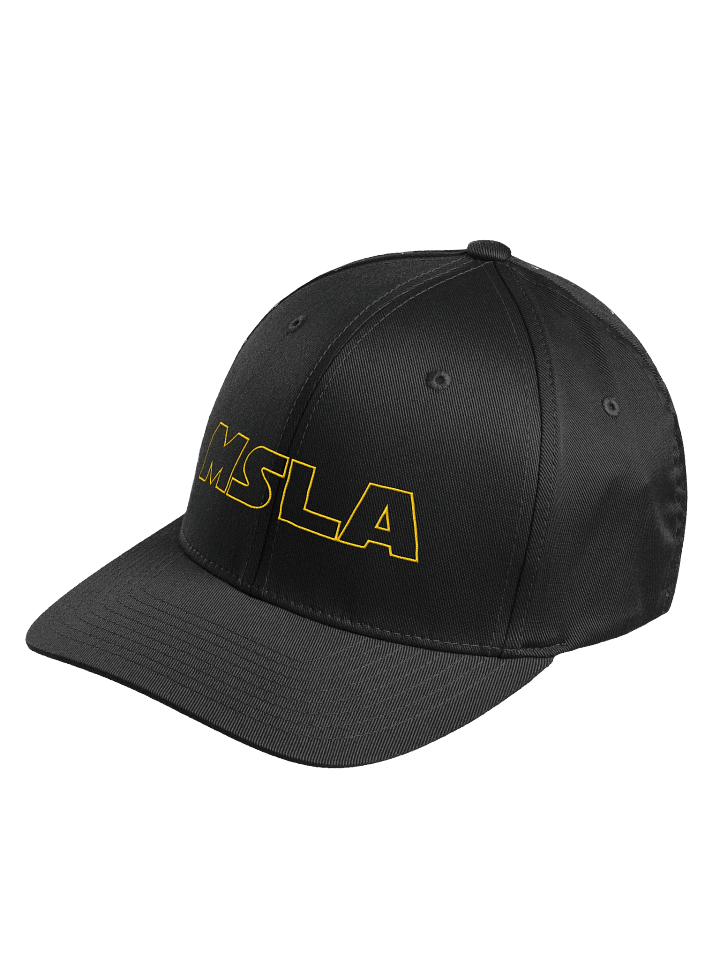 MSLA Dark Side Logo - Fittted Hat product image (9)