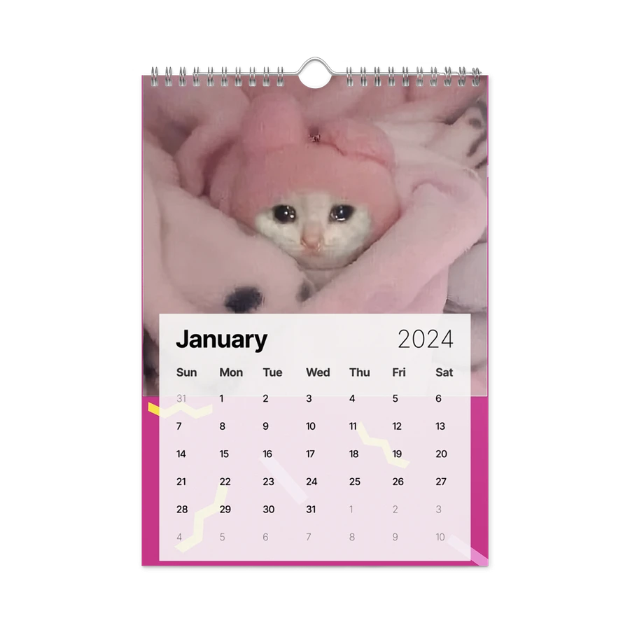 Wall Calendar (2024): Meme Cats product image (8)