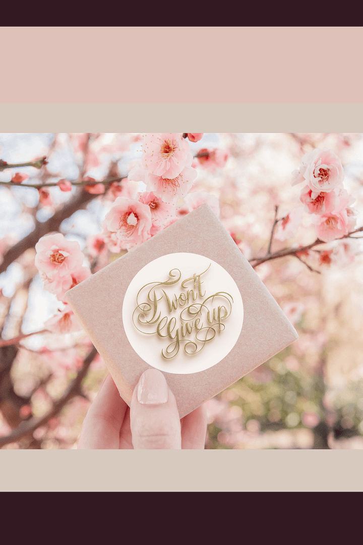 Self-Love Affirmation Art Sticker for Goal Manifestation and Self-Care - I Won't Give Up product image (1)