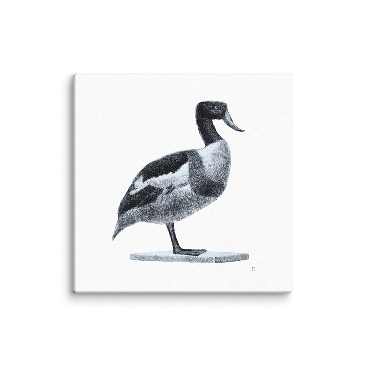 Blank Canvas: Unleash Your Artistic Vision - Duck product image (1)