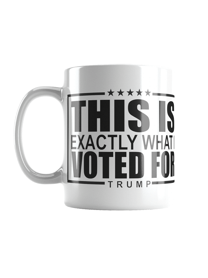 This Is What I Voted For Mug (White) product image (2)