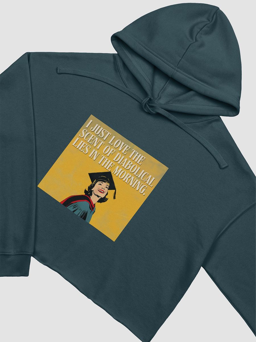 Diabolical Grad 1 Cropped Hoodie product image (3)