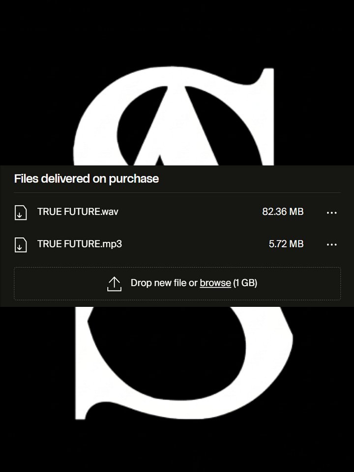 TRUE FUTURE (p. t2yung) product image (2)