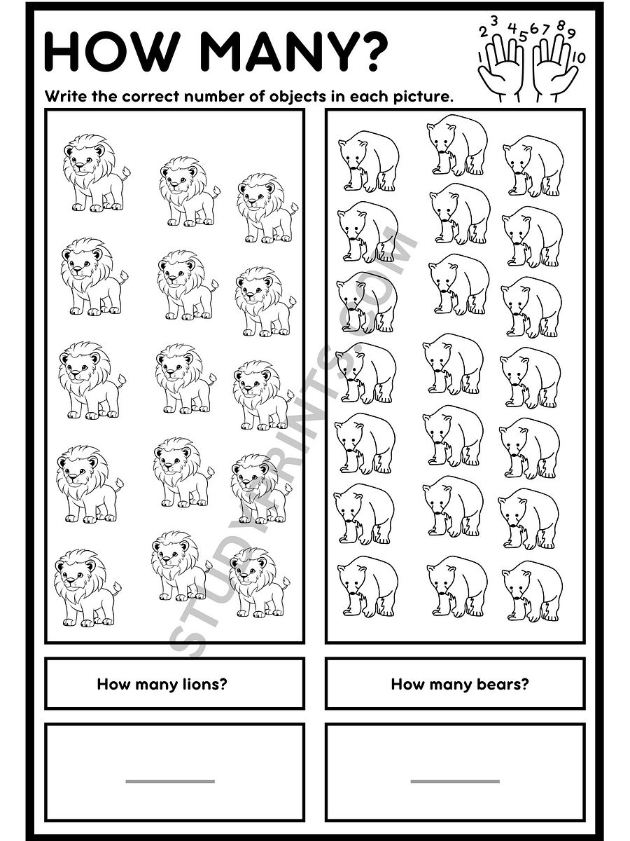kindergarten math worksheets how many product image (4)