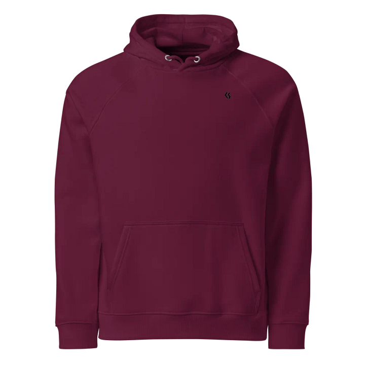 CS Hoodie product image (1)
