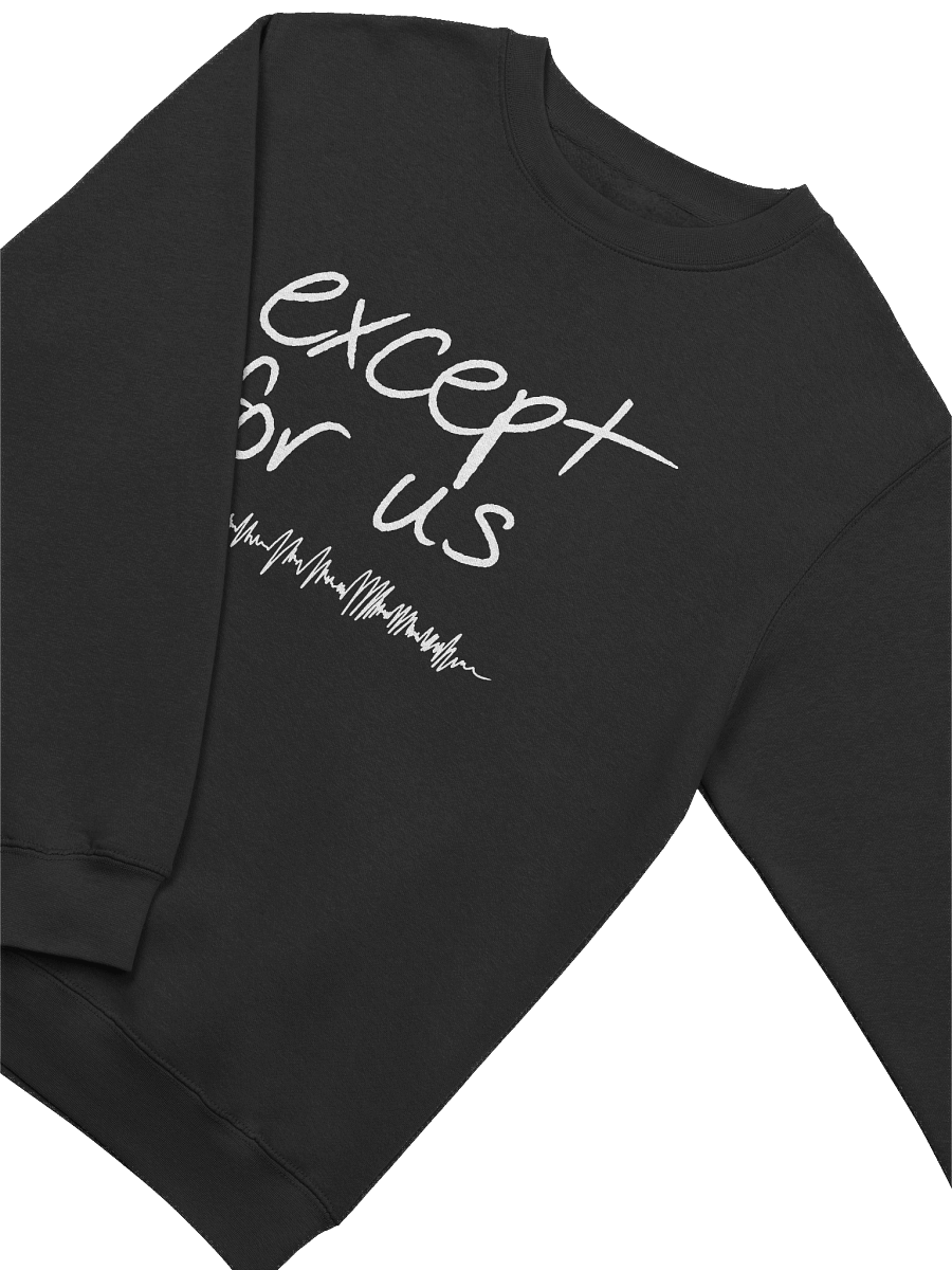 Except For Us Sweatshirt product image (2)