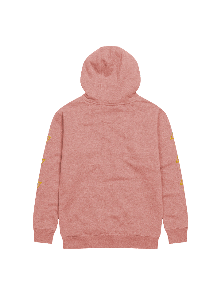 The Order of the Phoenoobz Team Hoodie product image (7)