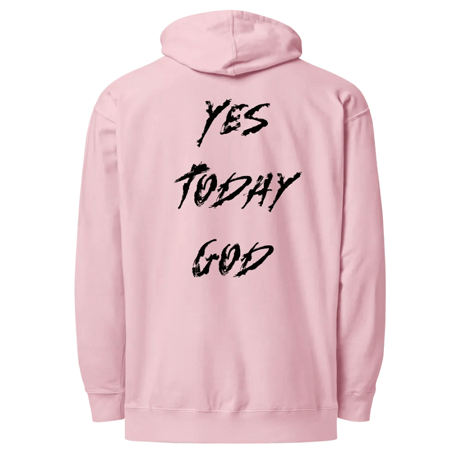 The Lives On HIGH | YTG STEALTH | UNISEX Hoodie | Light Pink product image (2)