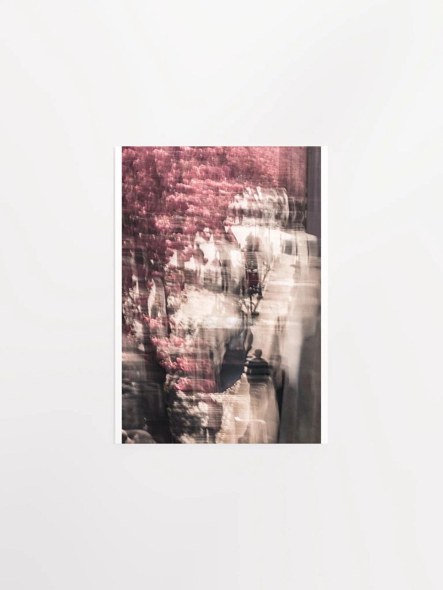 A Stroll under the Cherry trees - Print product image (2)