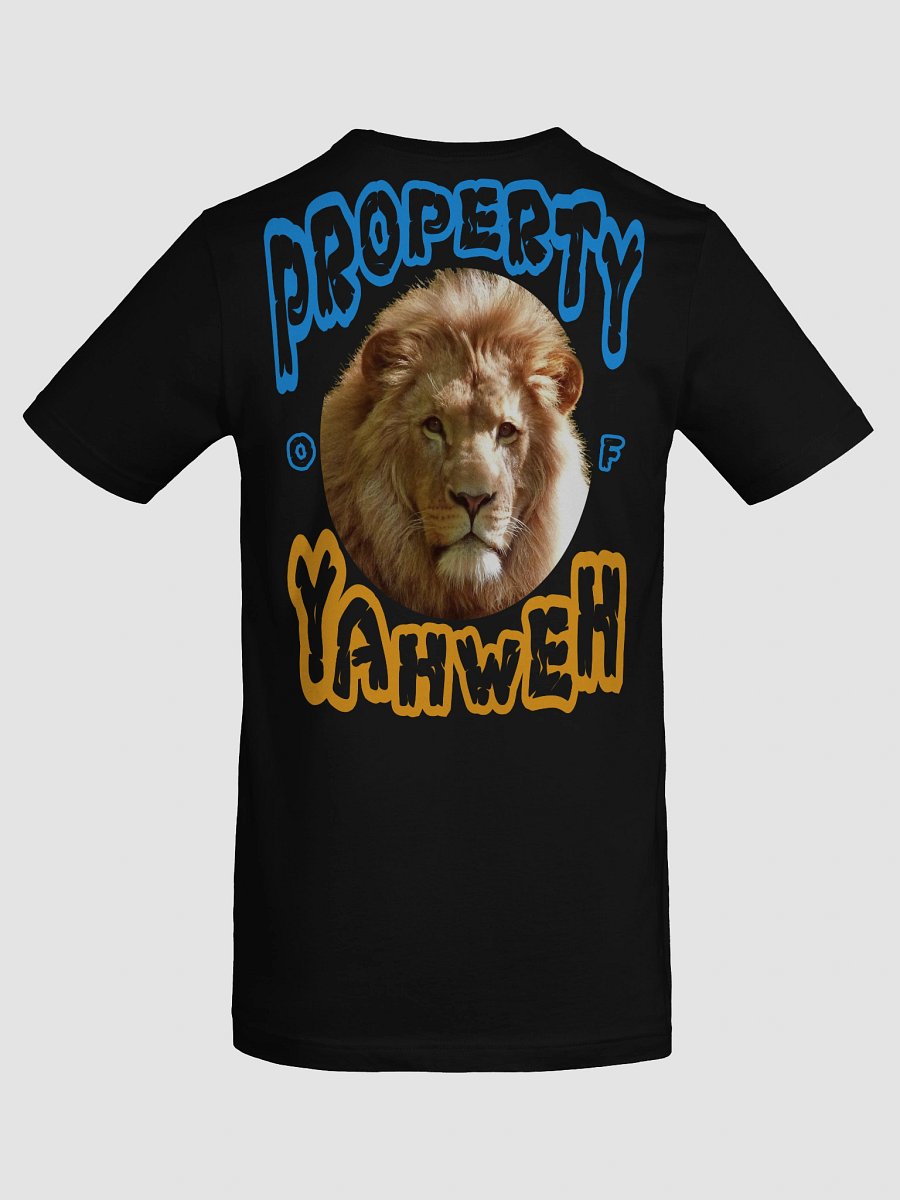 Child of God T-Shirt product image (80)