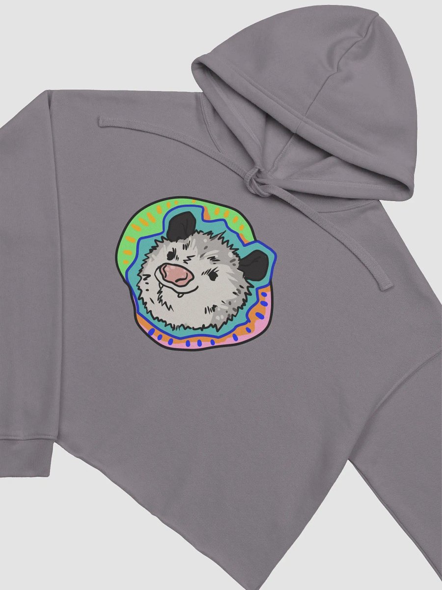 Vaporpossum fleece crop hoodie product image (4)