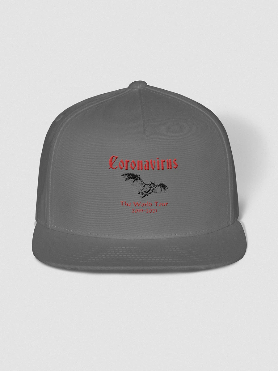 Coronavirus - World Tour Embroidered Flat Bill Cap product image (1)