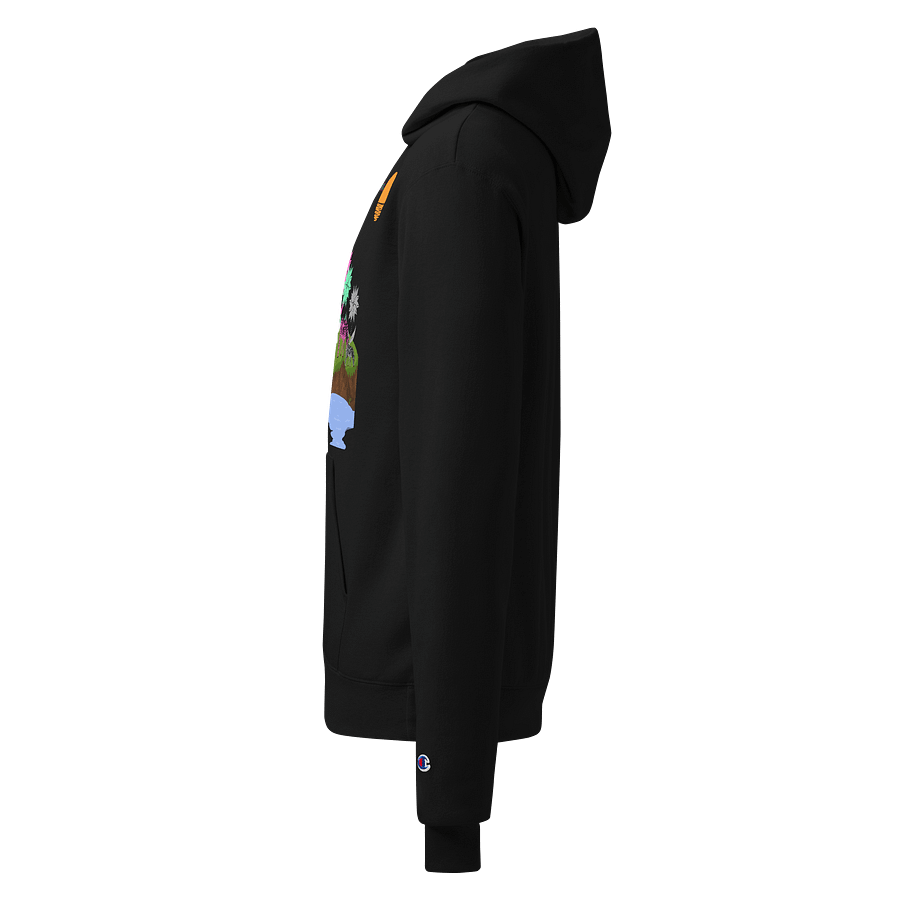 Bloom Stripes Unisex Hoodie product image (3)