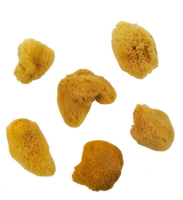 Royal & Langnickel - Small Sea Sponge Pack product image (1)