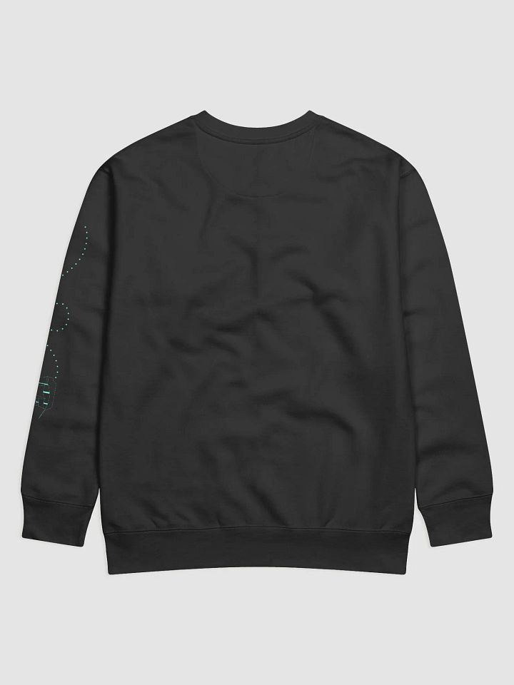 Unisex Chart Your Own Path Sweatshirt product image (2)