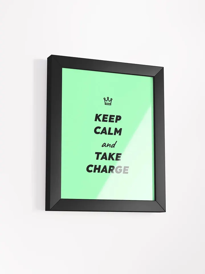 Keep Calm and Take Charge poster product image (45)