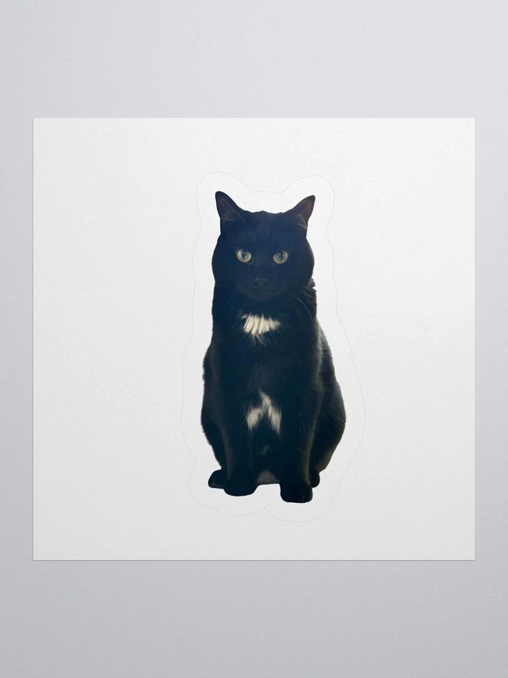 Romeo Sticker product image (1)