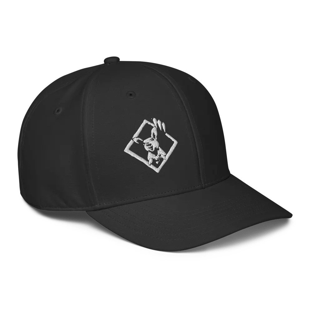 Frank's Revenge X Adidas - Cap product image (3)