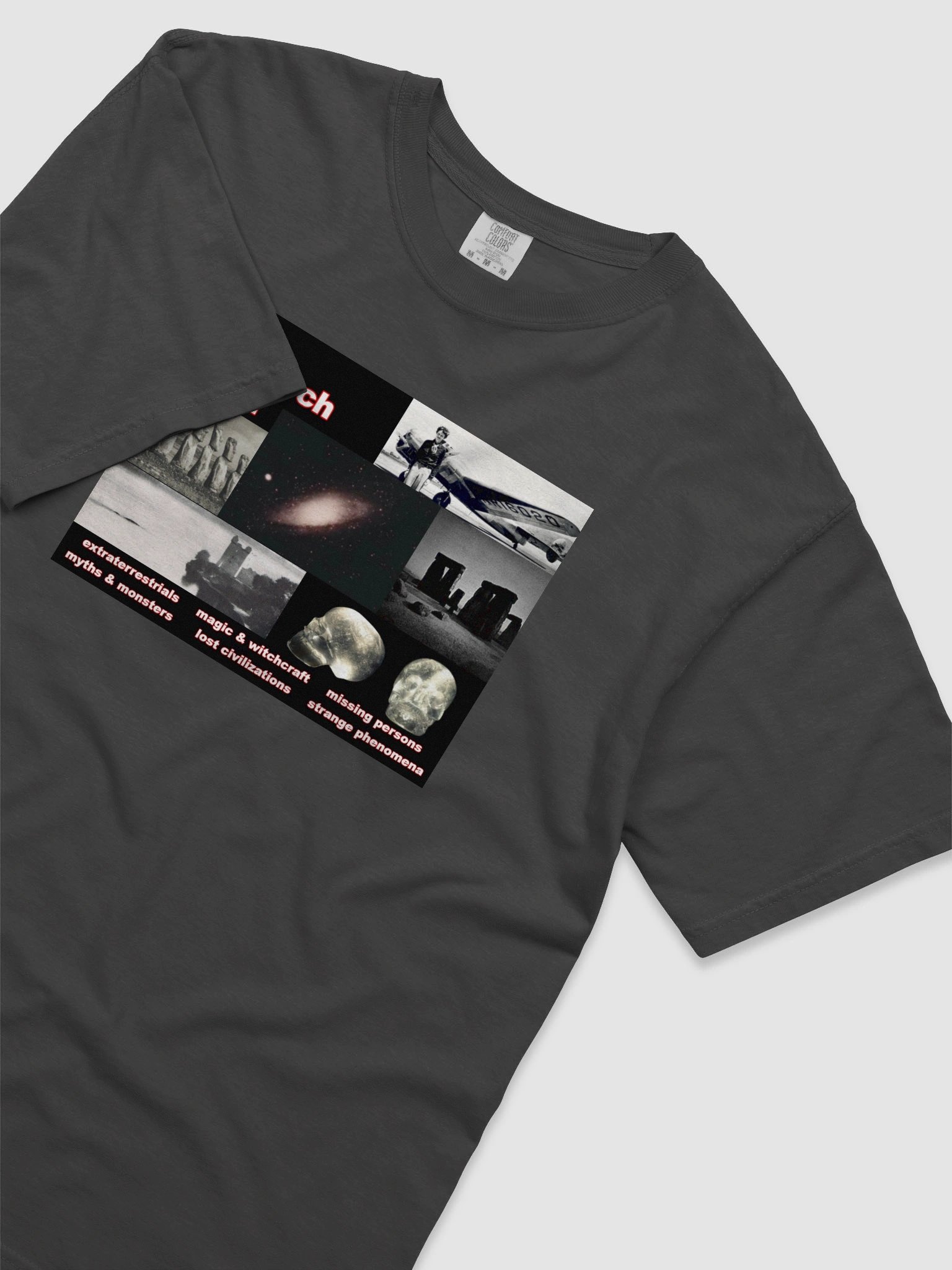 In Search Of... Comfort Colors T-Shirt product image (3)