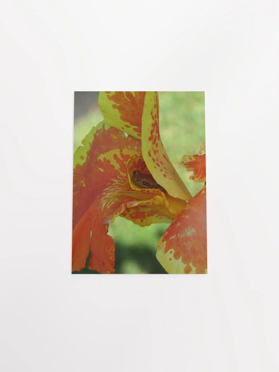 The Frog n' The Flower product image (50)