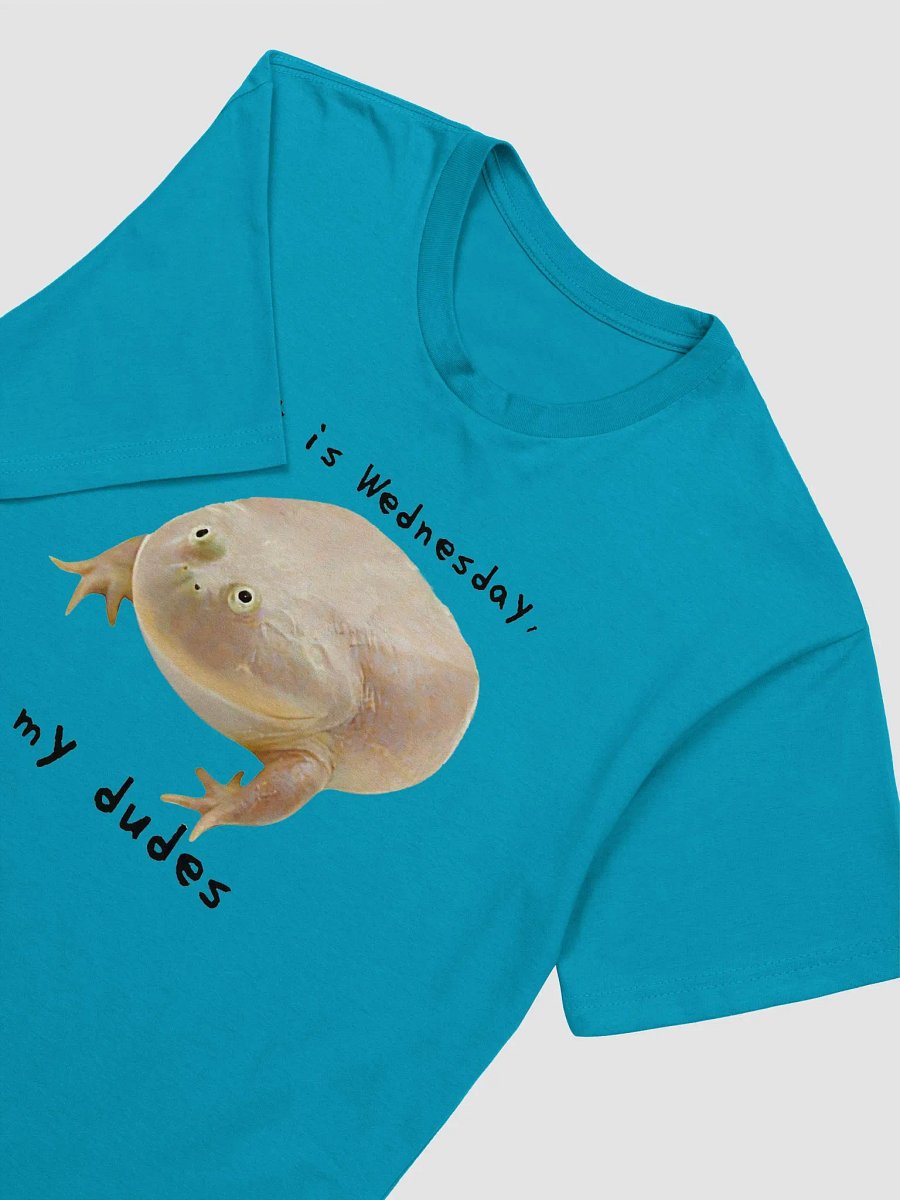 Wednesday Frog Tee (Supersoft) product image (58)