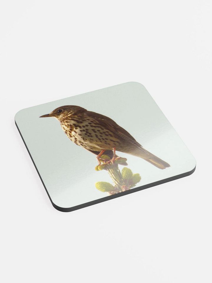 Glossed Cork Coaster - The song thrush product image (2)