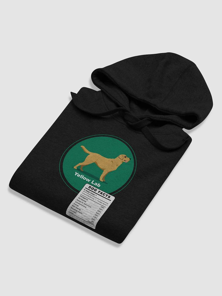 Yellow Lab dog product image (31)