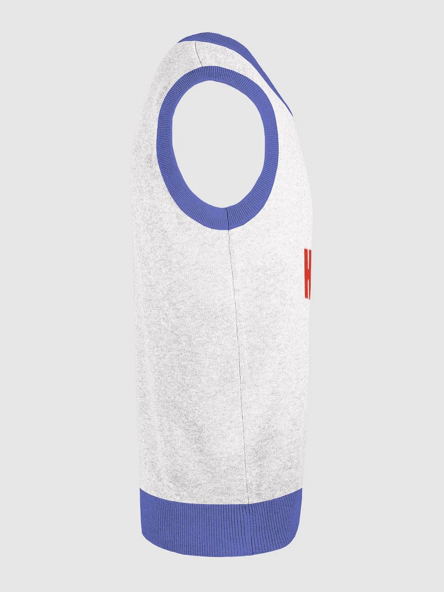Homesick: Logo Sweater Vest product image (24)