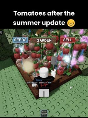 RIP Tomatoes After the Summer Update 😔🍅 | Grow a Garden#growagarden #roblox