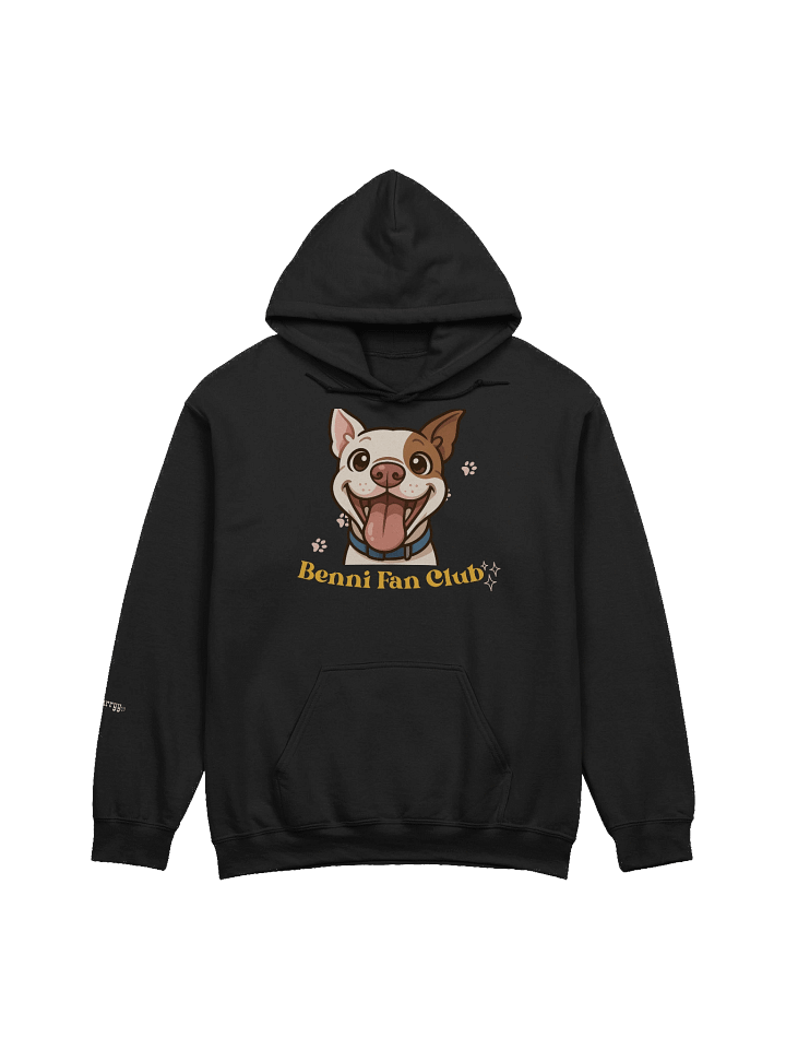 Benni Hoodie product image (3)