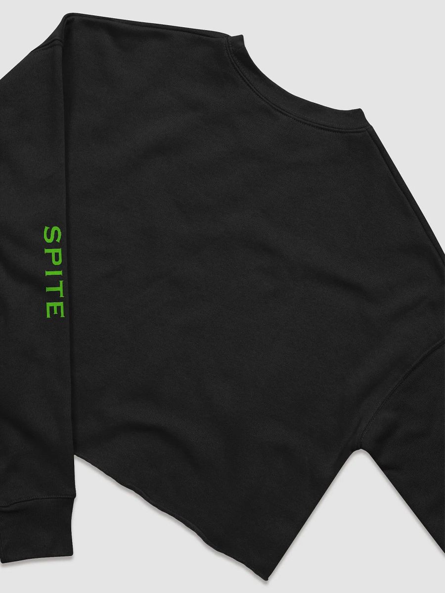 Spites Shitshow Crop product image (4)