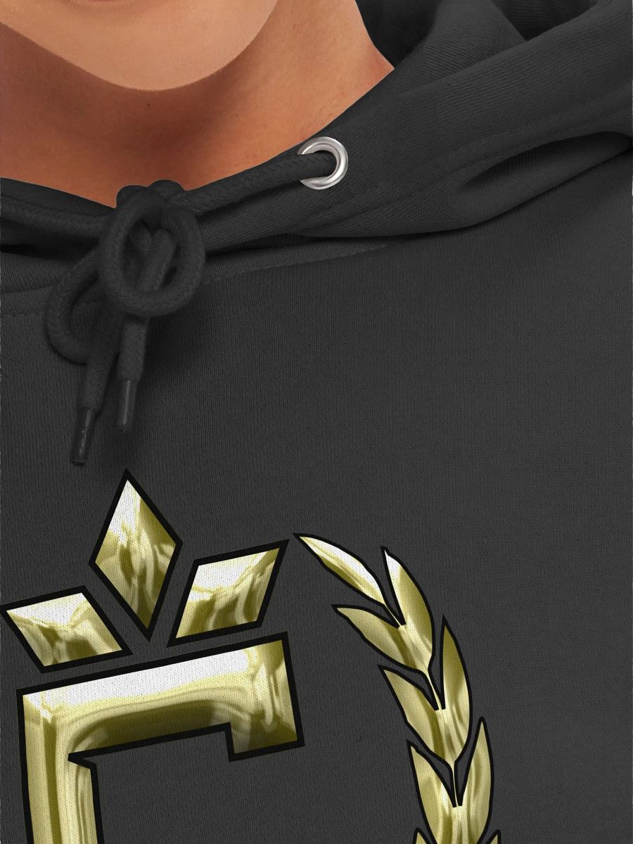 Champion's Emblem Unisex Hoodie product image (19)