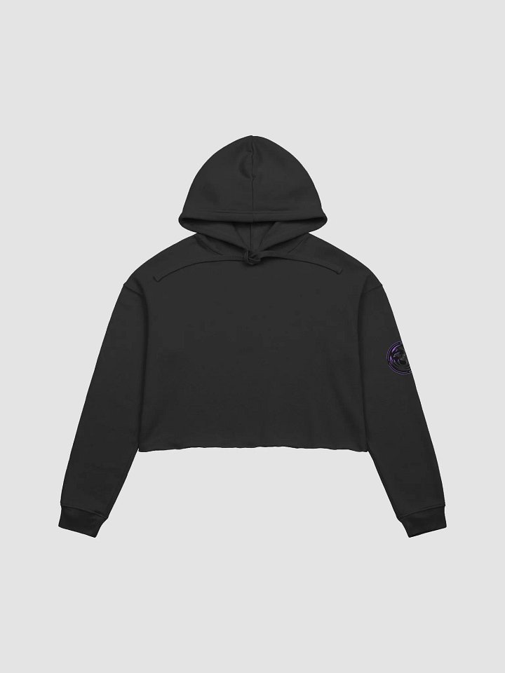 RavenXFlames Crop Hoodie product image (2)