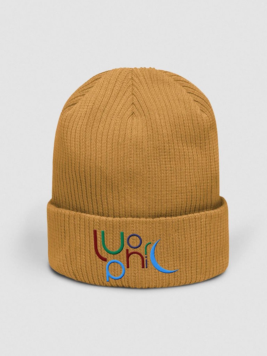 Earthy Alt Beanie product image (11)