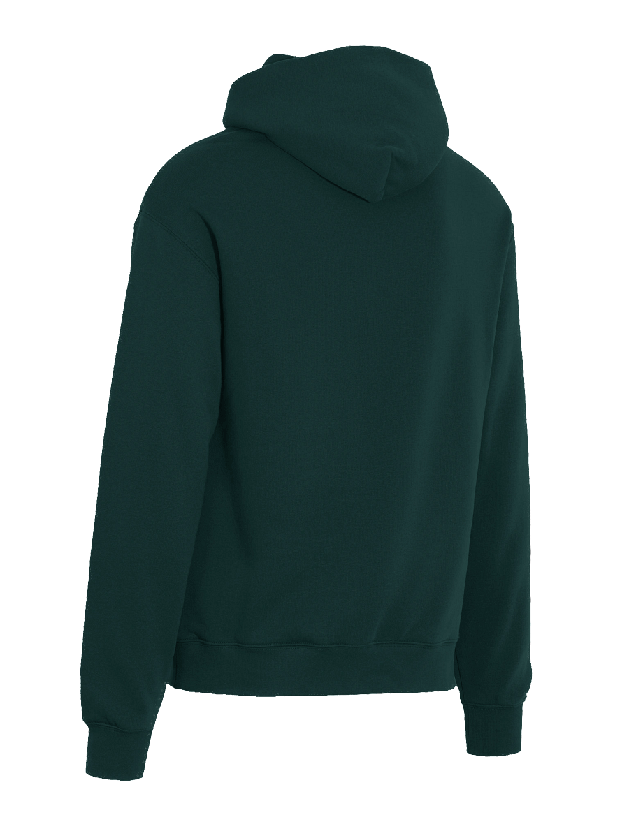 Dock Delphi Logo Hoodie product image (14)