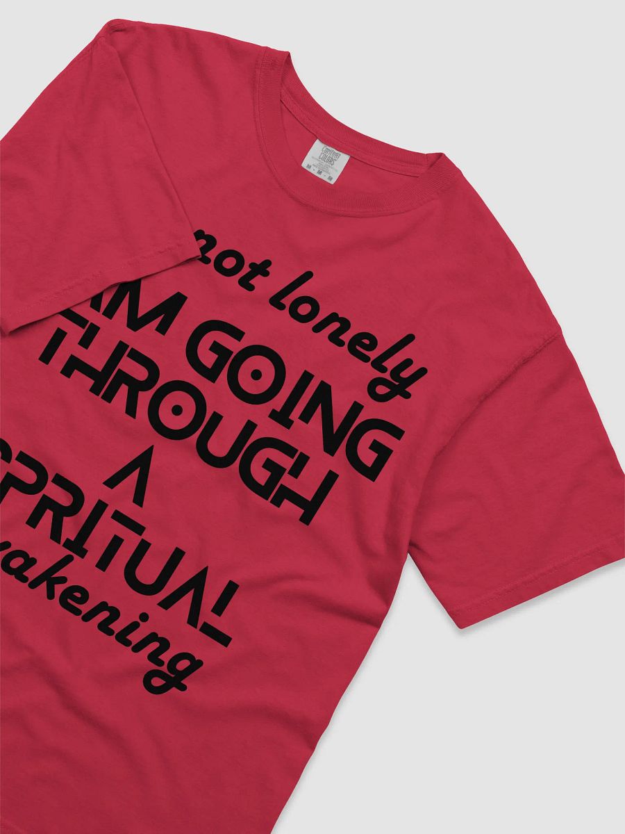 I'm Not Lonely I Am Going Through a Spiritual Awakening Tee – Spiritual Journey Shirt, Healing Vibes T-Shirt, Mindfulness Gift, Unisex Shirt for Men & Women, Holiday Present product image (15)