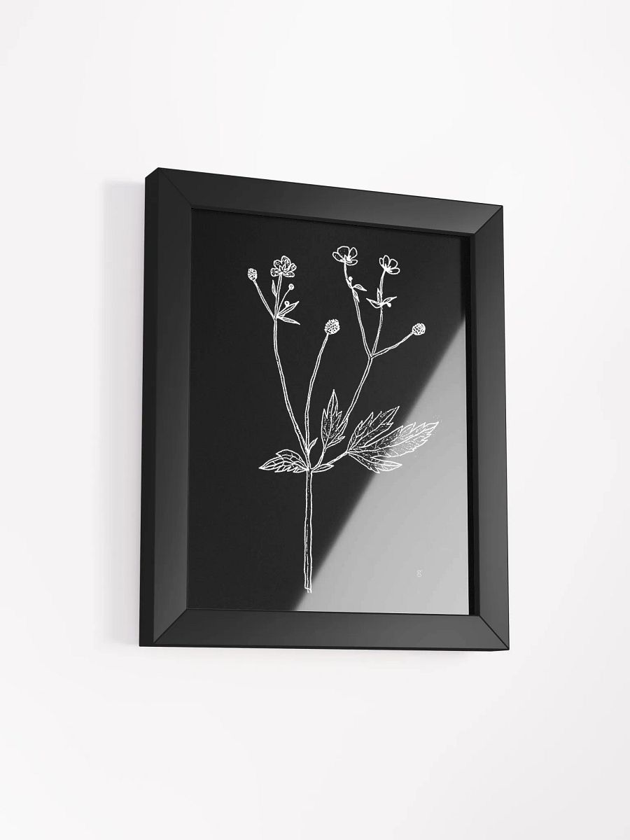 Botanical Monochrome Elegance Poster - Wild Flowers Dark product image (5)