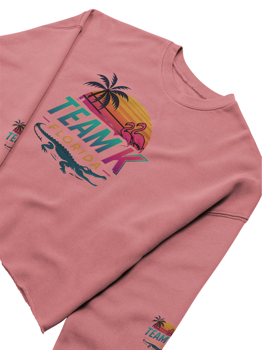 Team K Florida Crop Sweatshirt product image (5)