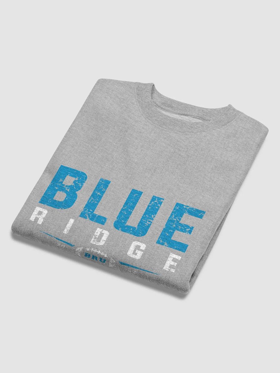 CHAMPION BLUE RIDGE PREMIUM SWEATSHIRT product image (10)