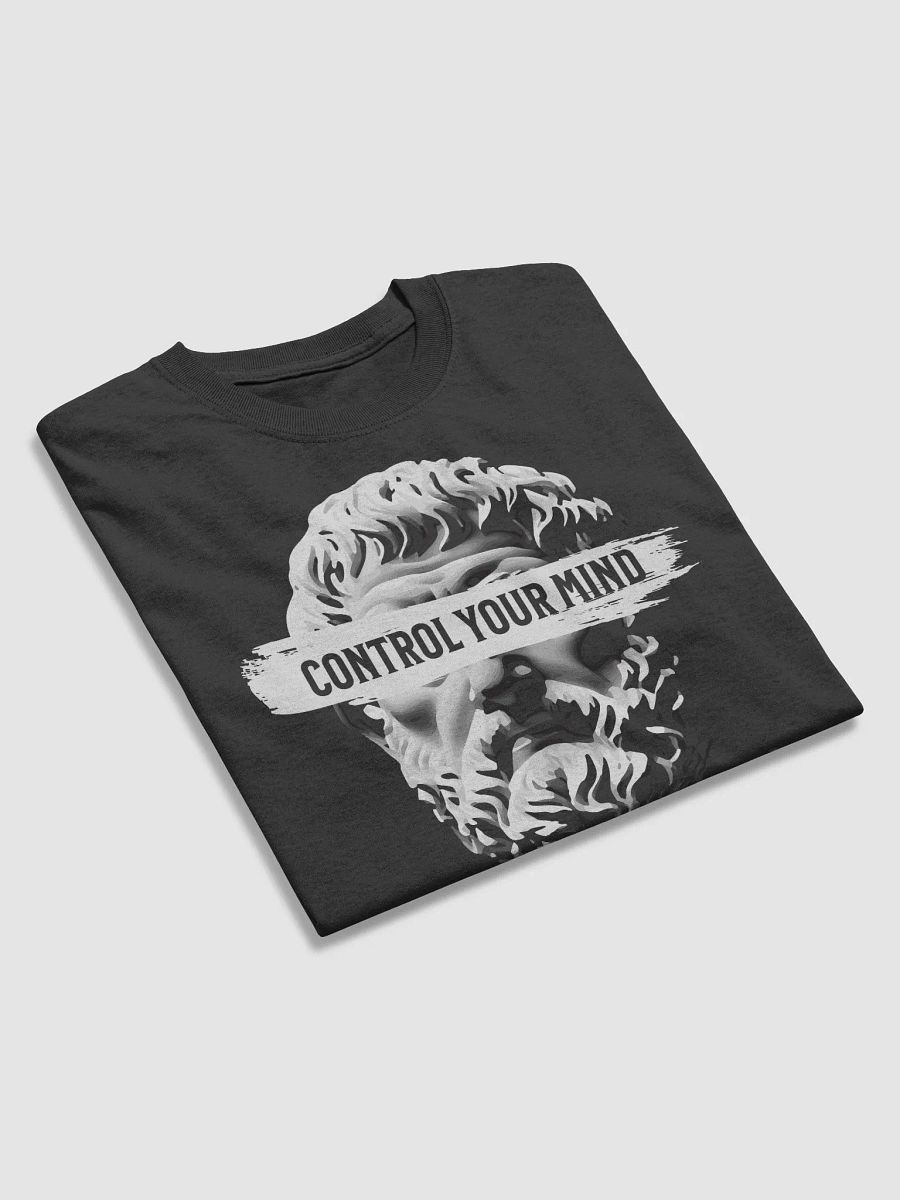 Control Your Mind Stoic Quote Tshirt product image (7)
