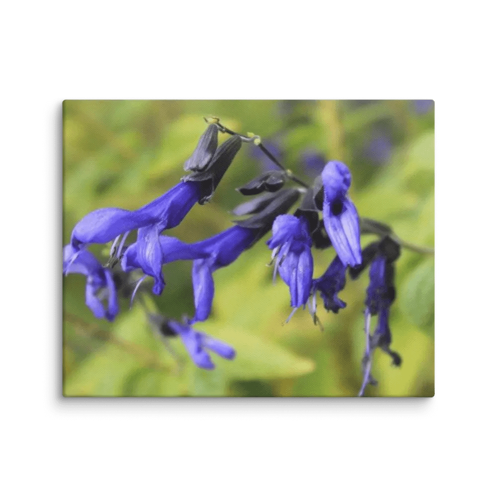 A Study in Flowers 3 product image (34)