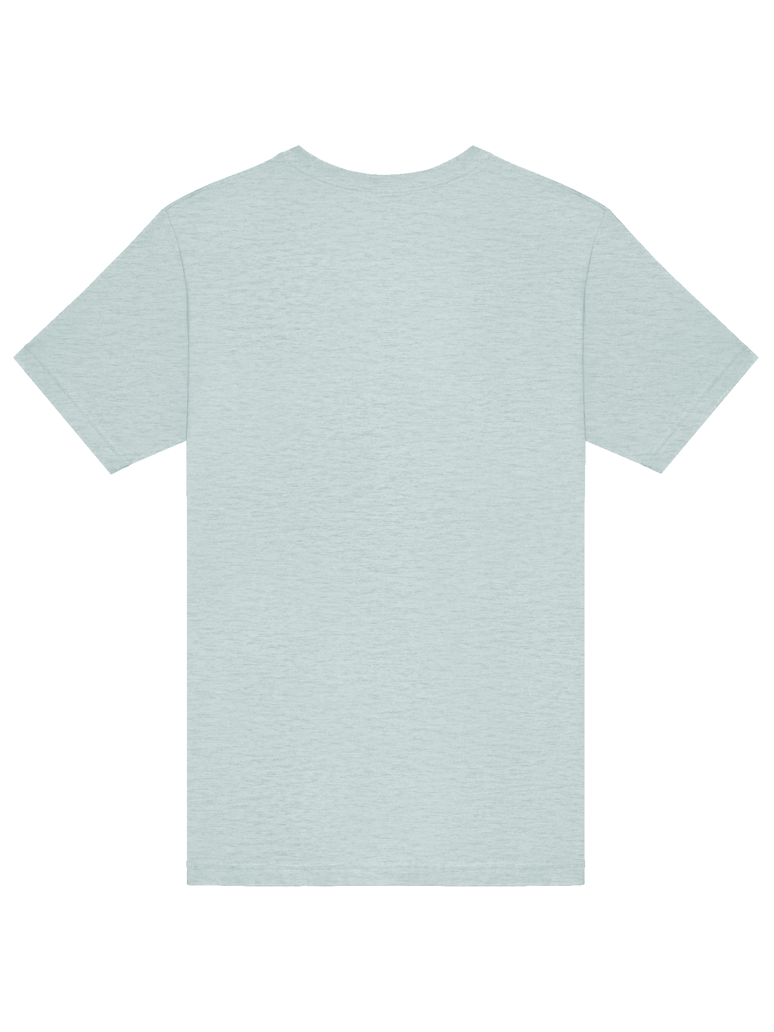 Texas Rose and Rattlesnake Unisex T-Shirt product image (66)