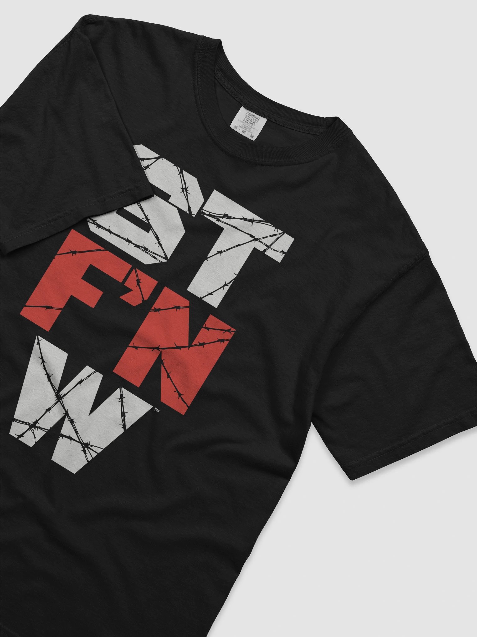 ECW Inspired ST F'n W T-Shirt product image (3)