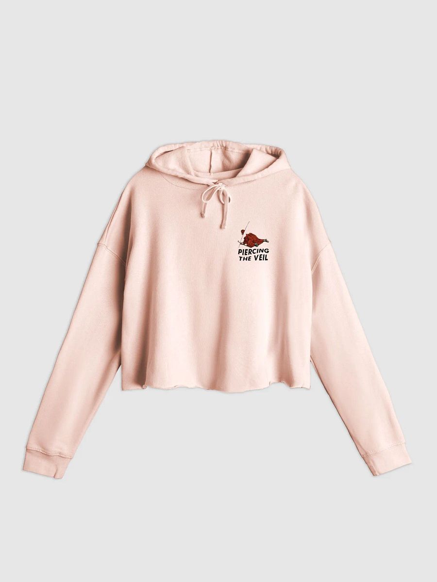 piercing through the veil cropped hoodie - 80% cotton product image (3)