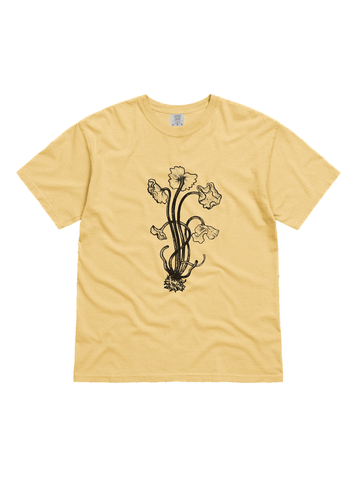 Brown Chanterelle - Print product image (41)